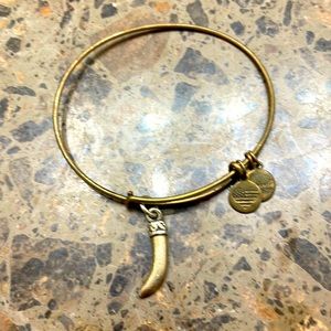 Alex and Ani gold and silver bracelet